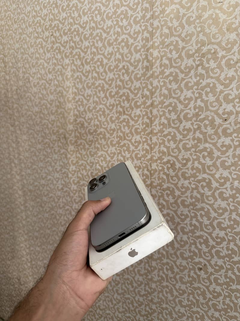 Apple iPhone 15 Pro Max 1