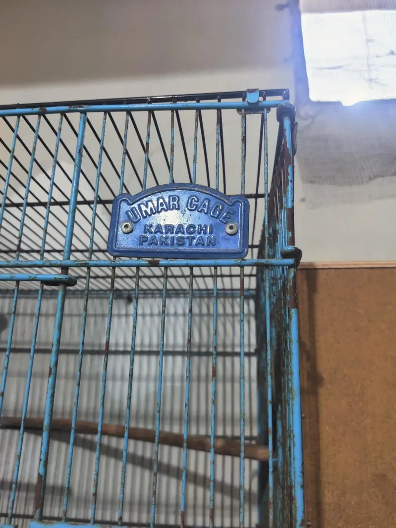 lovebirds with cage and box — photo 3