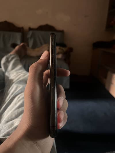 Apple iPhone X