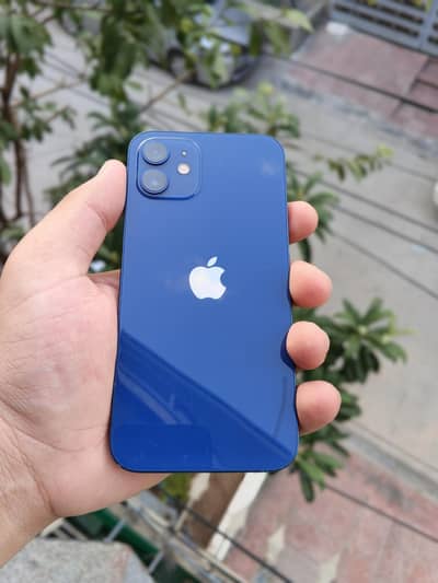 iPhone 12 PTA approved