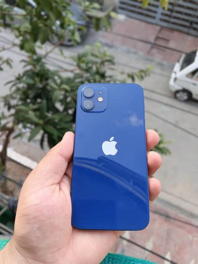 iphone 12 PTA approved