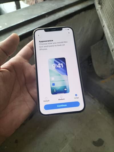 12 pro max