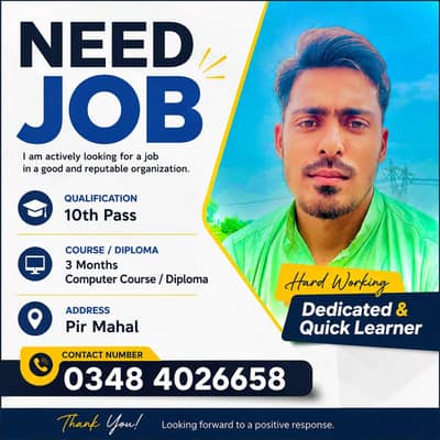 Need Job