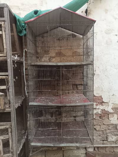5 Portion Cage for sale
