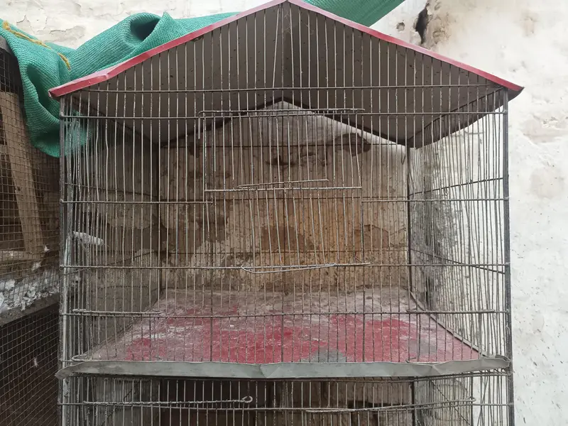 5 Portion Cage for sale — photo 3