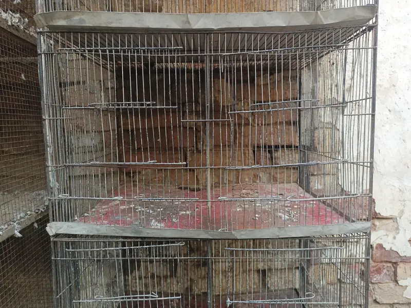 5 Portion Cage for sale — photo 4