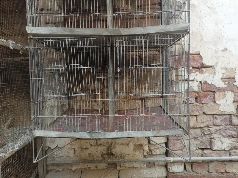 5 Portion Cage for sale — photo 5