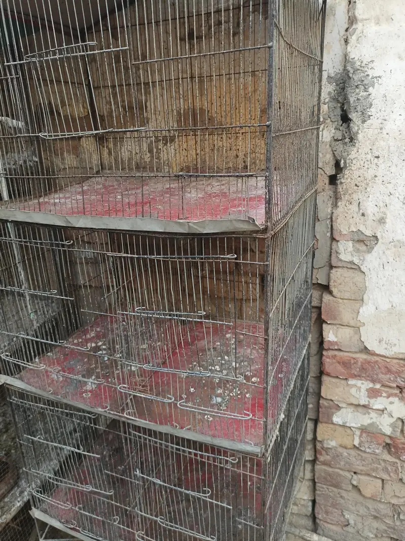 5 Portion Cage for sale — photo 6