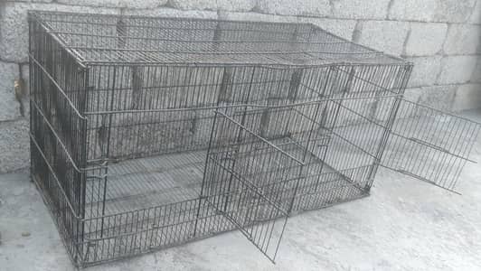 5 cages in cheap prize