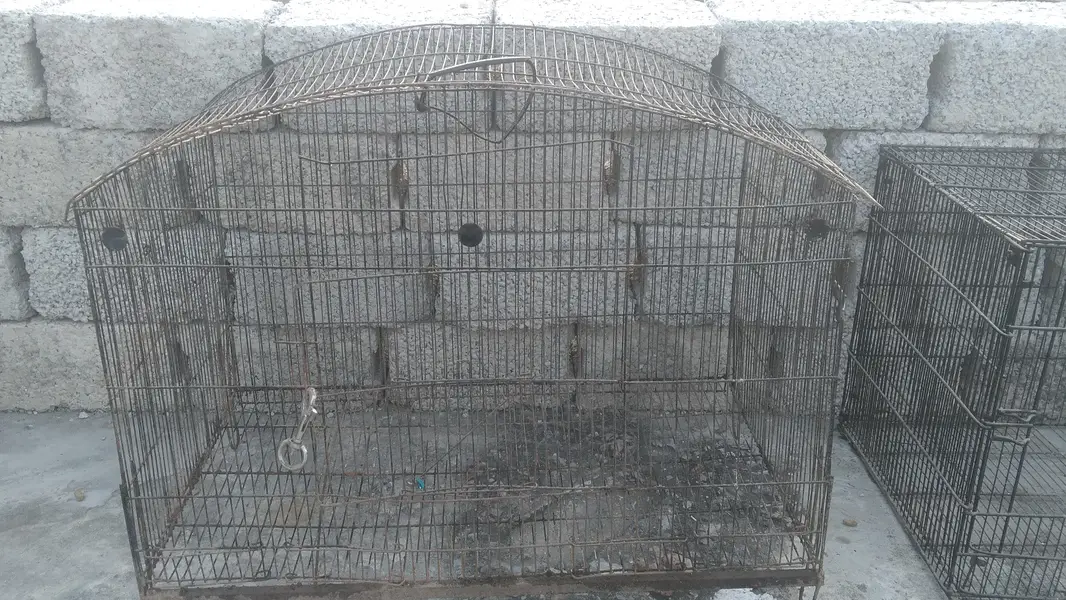 5 cages in cheap prize — photo 2