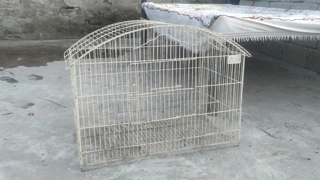 5 cages in cheap prize — photo 3