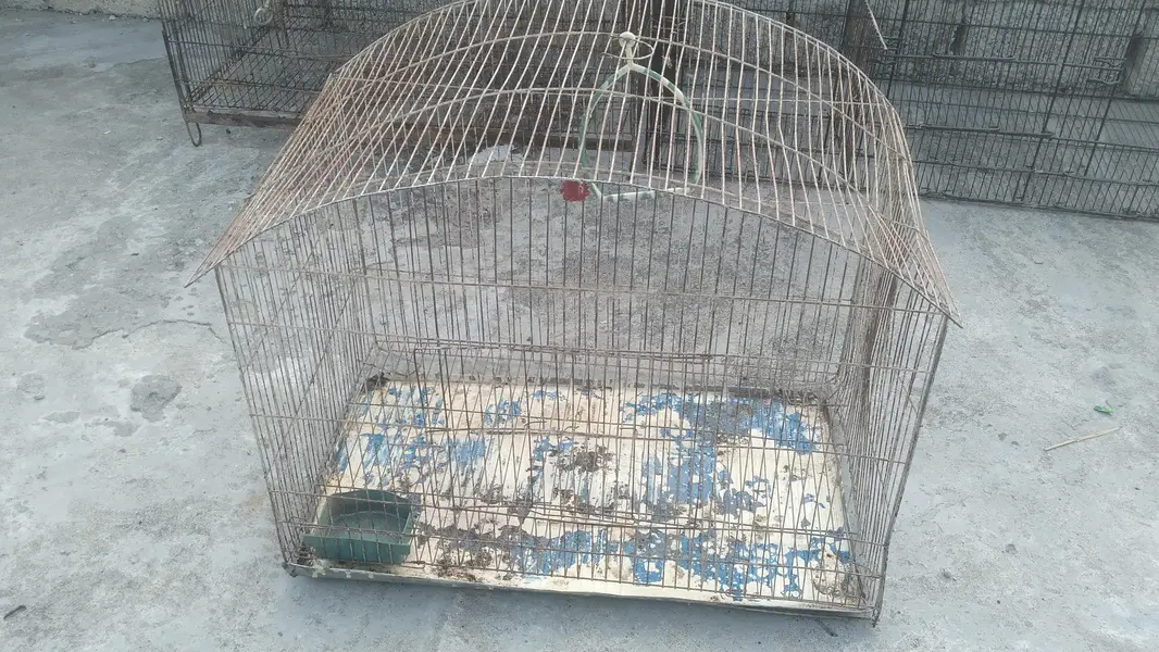 5 cages in cheap prize — photo 4