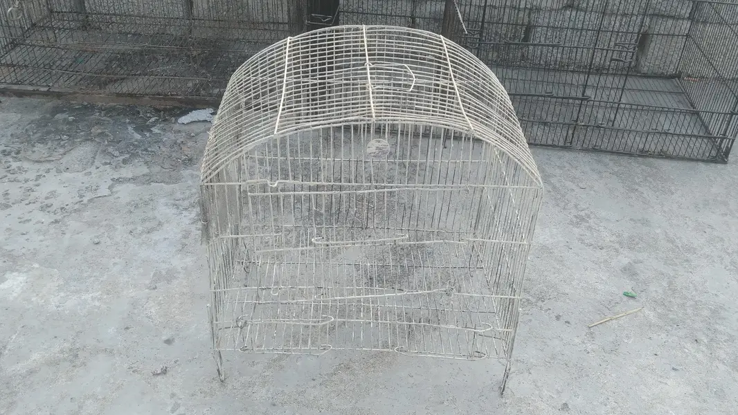 5 cages in cheap prize — photo 5
