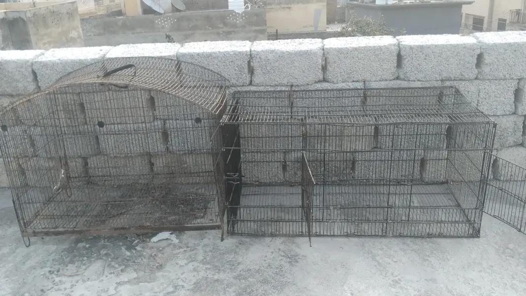 5 cages in cheap prize — photo 8