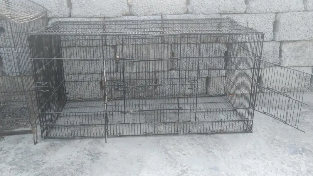 5 cages in cheap prize — photo 9