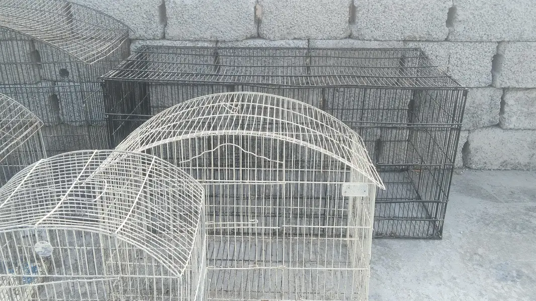 5 cages in cheap prize — photo 10