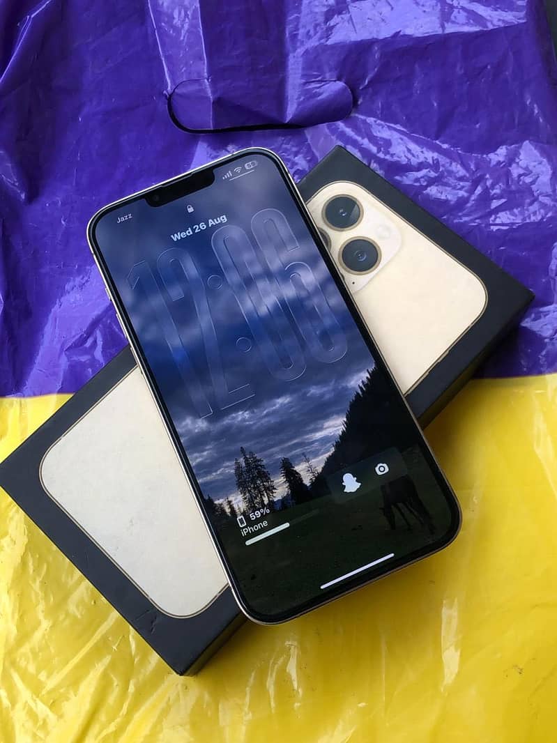 Iphone 13 Pro Max 1