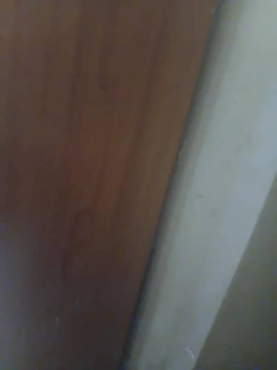 pure wood ki ha solid wood . cont 03132820019