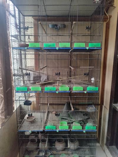 cage for urgent sell