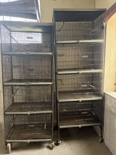 Cages ( ideal for love birds )