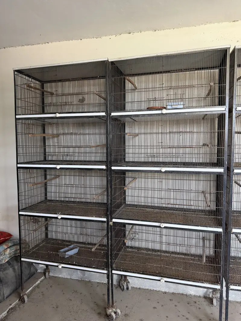 Cages ( ideal for love birds ) — photo 2
