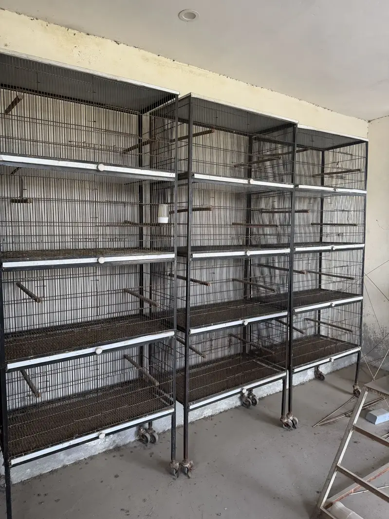 Cages ( ideal for love birds ) — photo 3