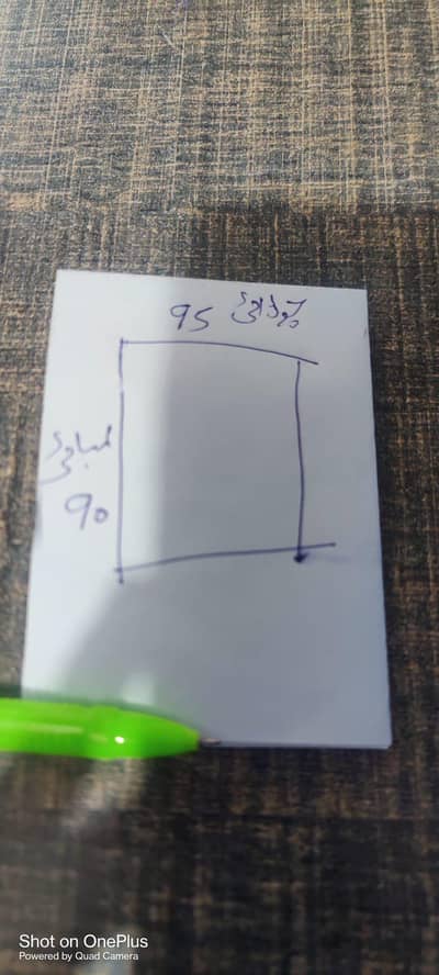 Door glass 12mm