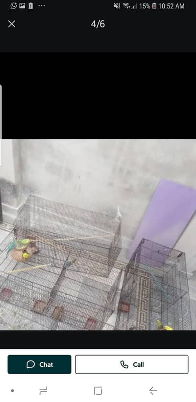 folding cage