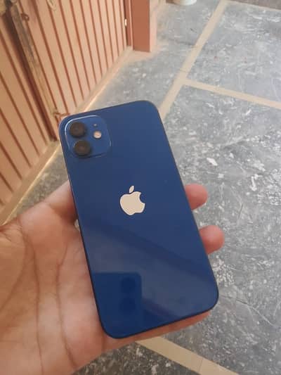 Apple iPhone 12