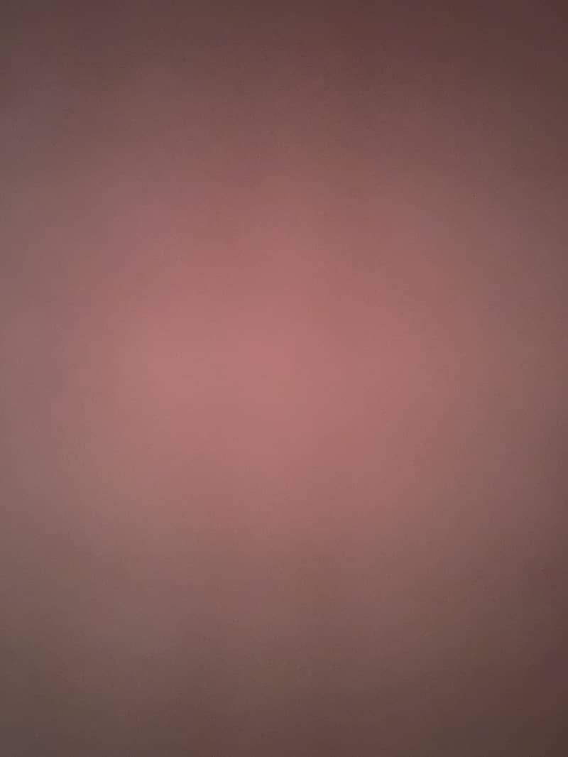 Apple iPhone 13 0