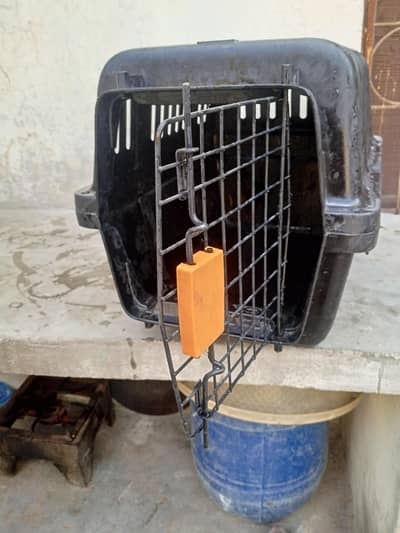 cat and dog carry box