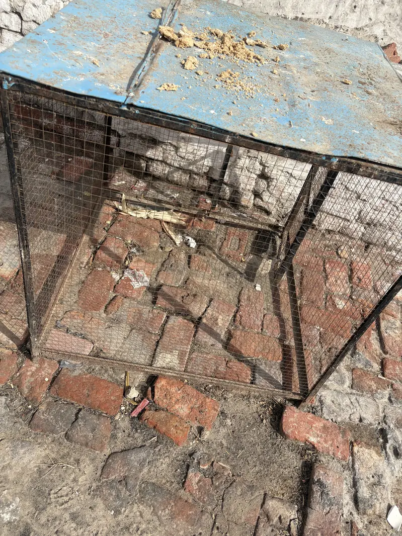 Hen cage