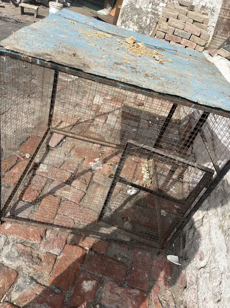 Hen cage — photo 3