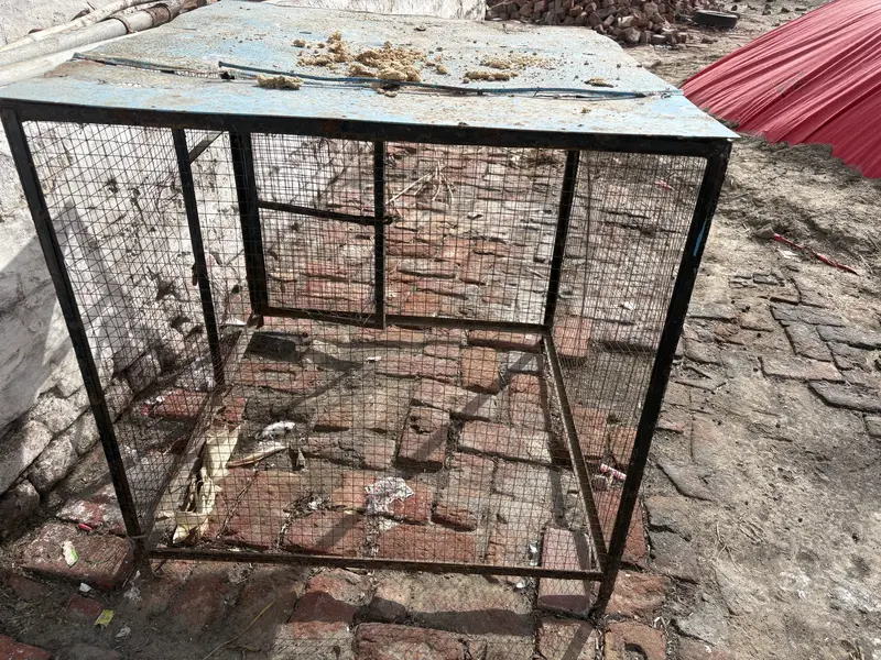 Hen cage — photo 4