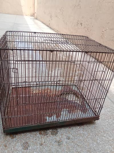 cage ( size 2*1.5*1.5 ) . Whatsapp number 03330031118