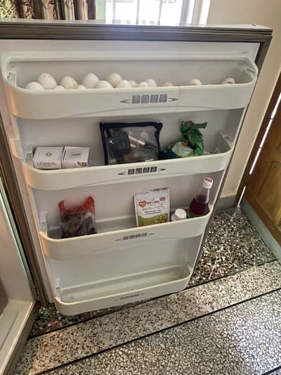 Dawlence full size fridge