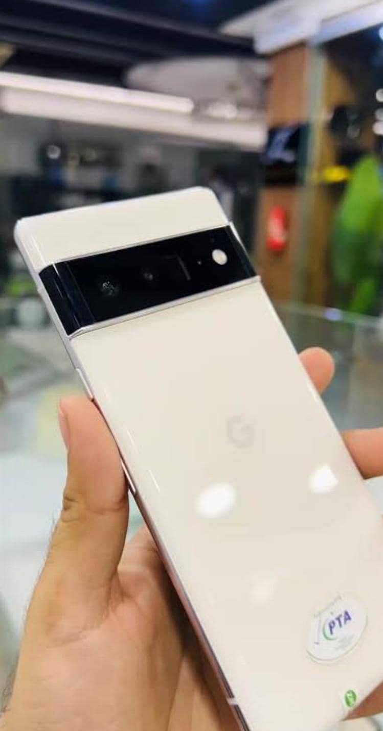 Google Pixel 6 Pro 1