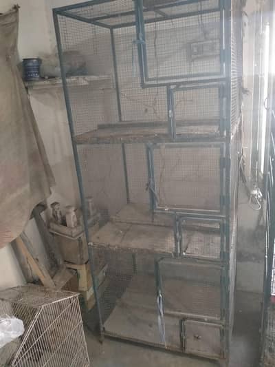 3 portion cage for sale love birds kaliya murga kaliya