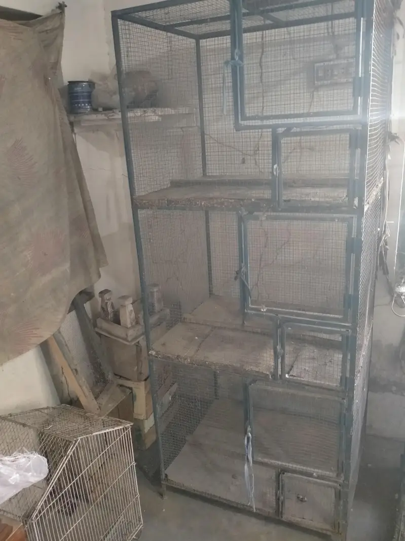 3 portion cage for sale love birds kaliya murga kaliya — photo 3