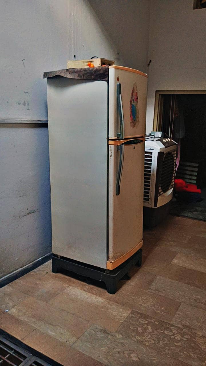 fridge waves 1