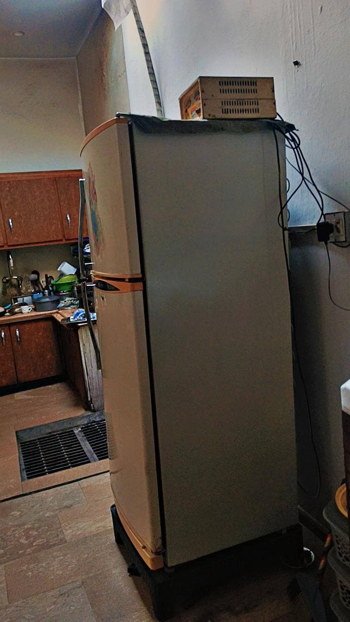 fridge waves 2
