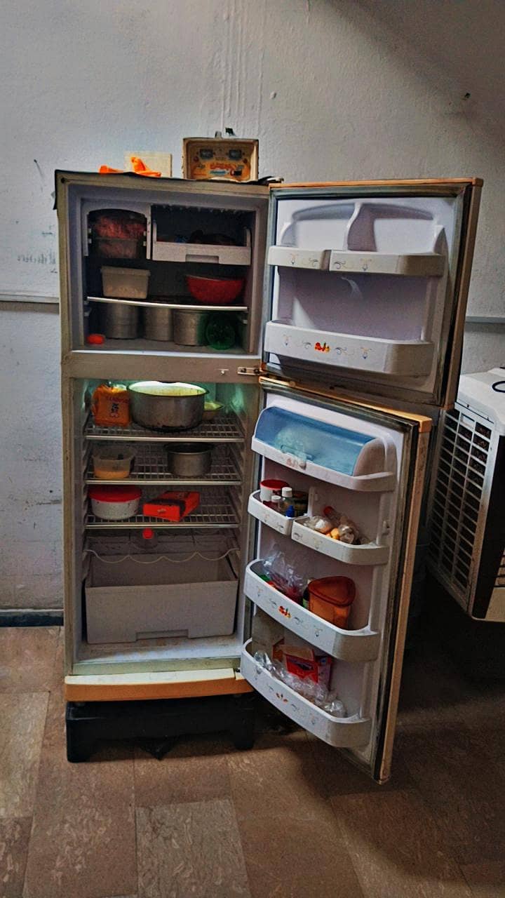 fridge waves 3