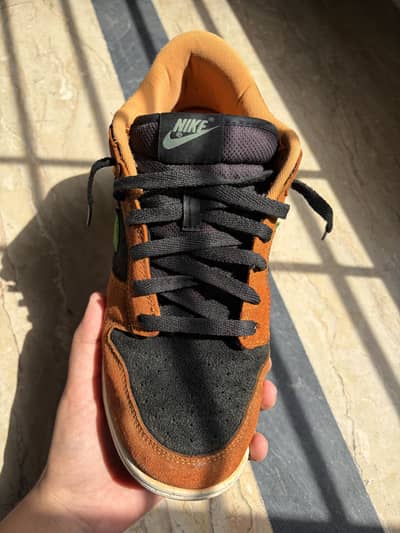 Nike dunk low ceramic