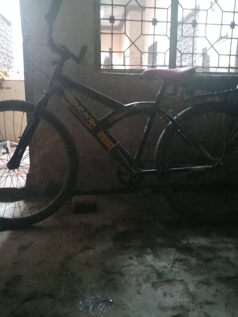bicycle 1