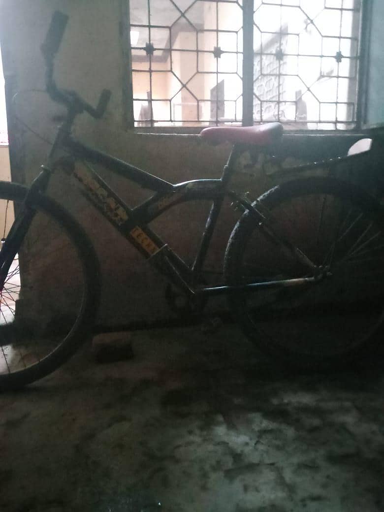 bicycle 2