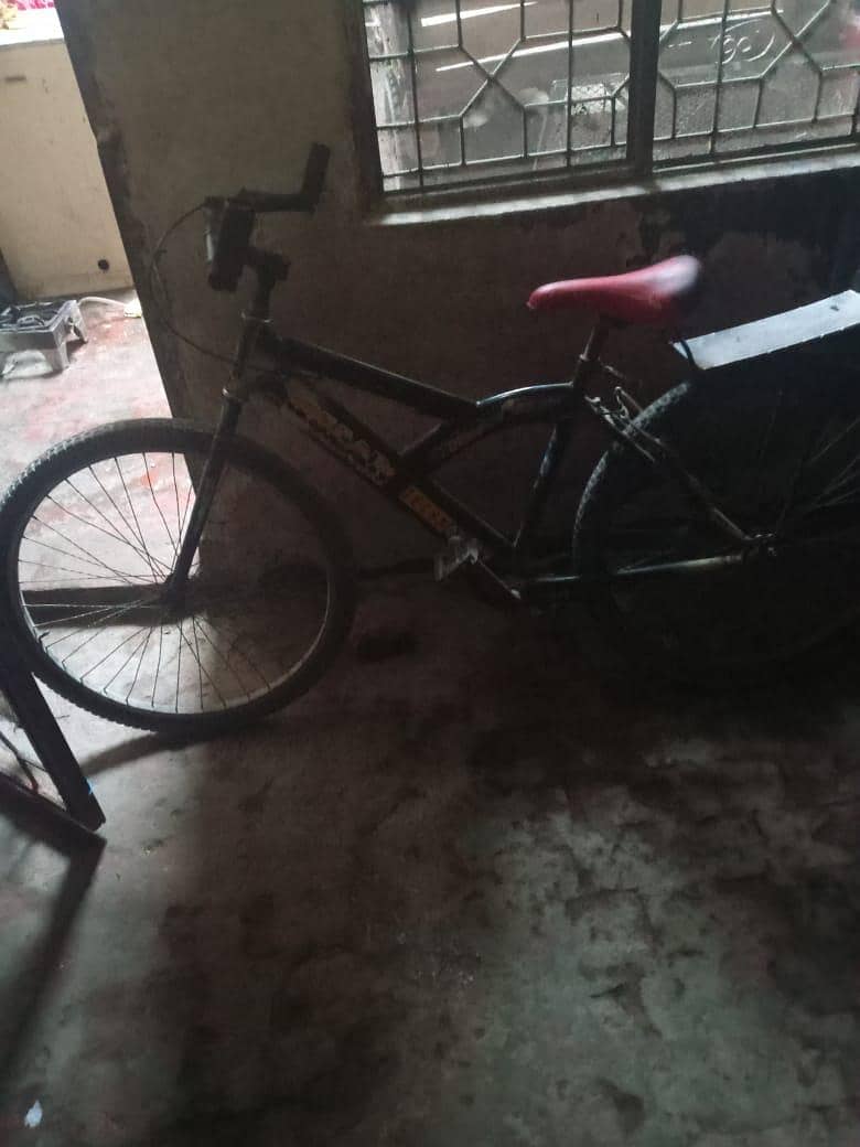 bicycle 3