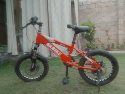 SK Bike cycle