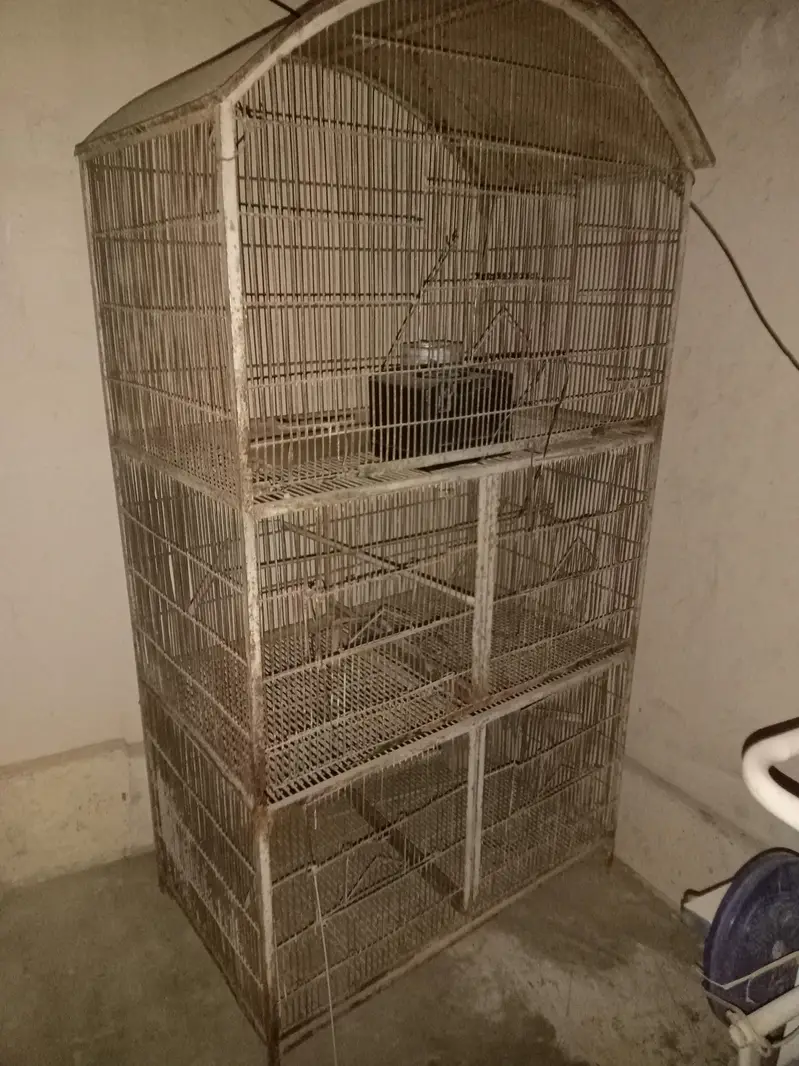 birds cage for sale