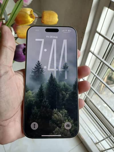 Apple iPhone 16 Pro Max