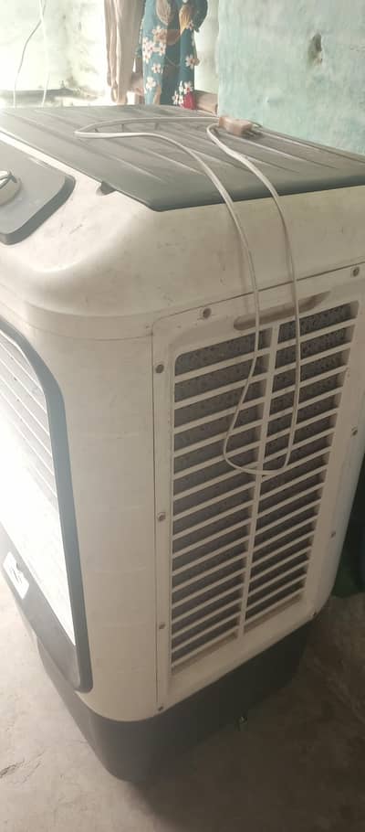Air cooler